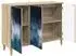 vidaXL Sideboard RAALTE Sonoma 102x33x75cm Holzwerkstoff (8006952)