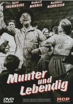 MCP Sound & Media Munter und lebendig