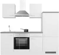 Flex-Well K&uuml;chenzeile "Kopenhagen" wahlw. mit E-Ger&auml;ten, Breite 220 cm, viele