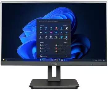 Wortmann Terra All-in-One-PC 2420HA Greenline (1000034)