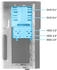 Ankermann Office Work V3 | i5-14400F | GT 740 4GB | 16GB DDR5 | 1TB | Windows 11 | WLAN & Bluetooth | MS Office 2024