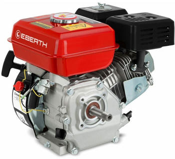 Eberth GW3-ER196