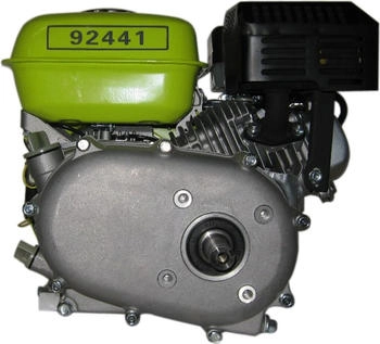 Varan 92441