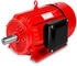 Eberth Elektromotor (WP1-EM5500)