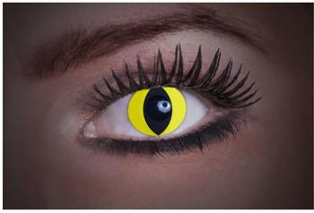 Eyecatcher Kontaktlinsen