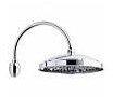Bossini Retro Arc Kopfbrause mit Brausearm H50703094