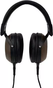 Fostex TH-616