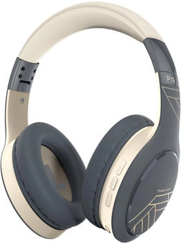 Powerlocus P19 Asphalt Grey