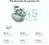 OnePlus Buds 4 Storm Gray