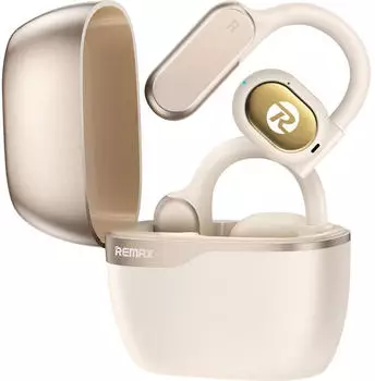 Remax P1
