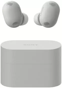 Sony WF-1000XM6 Platinsilber