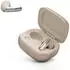 JBL Live Flex 4 Champagne