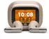 JBL Live Flex 4 Champagne