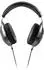 Focal Elegia