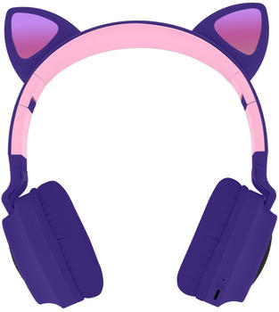 Avizar KASK-LPP-MINOU