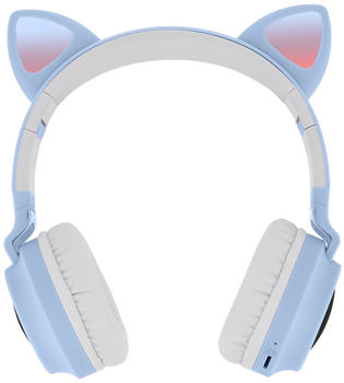 Avizar KASK-DPP-MINOU Purple