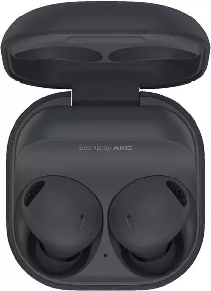 Samsung Galaxy Buds 2 Pro SM-R510 Graphite