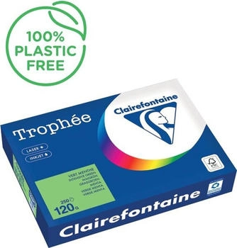 Clairefontaine Trophée Intens, farbiges Papier, A4, 120 g, 250 Blatt, grasgrün (1293PC)
