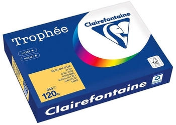 Clairefontaine Kopierpapier 1206PC A4 120g goldgelb 250Bl