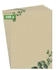sigel Briefpapier DP615, Eucalyptus, A4, 100 g/m², 100 Blatt