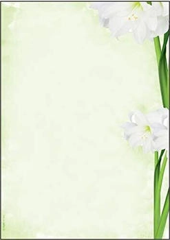 sigel DP463 Writing paper "Amaryllis" A4 90 gsm 25 sheets