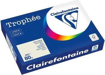 Clairefontaine Kopierpapier 1788PC A4 80g grau 500Bl
