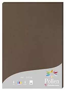 Clairefontaine Pollen Papier Braun 210g/m&sup2; DIN-A4 25 Blatt (24292C)