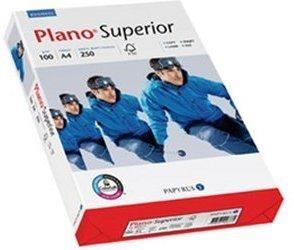 Papyrus Plano Superior (88026781)