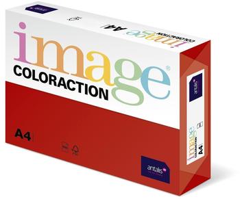 Antalis Coloraction Chile (461350)