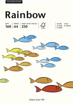 Papyrus Multifunktionspapier Rainbow, A4, 80g/qm, weiß (88042226)