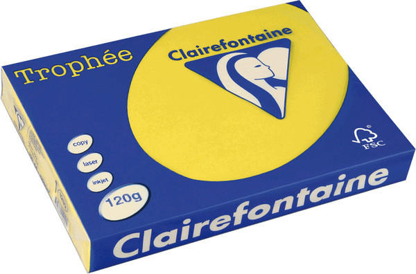 Clairefontaine Trophee Papier, A4, 120 g/qm, gelb (1292C)