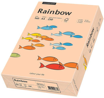 Rainbow Farbpapier A4 160 g/m2 250 Blatt lachs