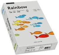 Papyrus Rainbow (88042810)