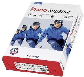 Papyrus Plano Superior (88026788)