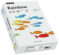 Papyrus Rainbow (88042783)