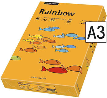 Papyrus Rainbow Color 80g A3 (88042412)