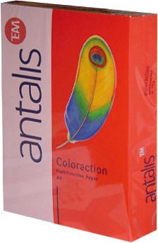 Antalis Coloraction A4 160g/qm Chile 250 Blatt