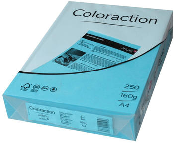 Antalis Coloraction (838A 160S 37)