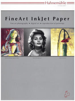 Hahnemühle FineArt Hahnemühle Museum Etching, A3, 350g/qm, naturweiß (HAH10641650)
