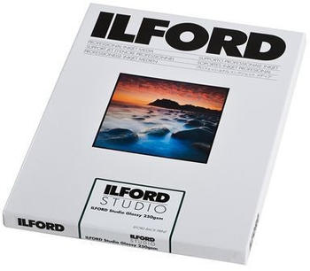 Ilford 2008028