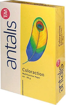 Antalis Coloraction (838A 080S 5)