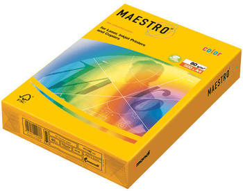 Mondi Maestro Color (SY40A80)