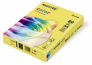 Mondi Maestro Color (YE23A16)