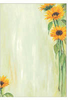 Sigel DP694, SIGEL Motivpapier Sunflower Motiv DIN A4 90 g/qm 25 Blatt