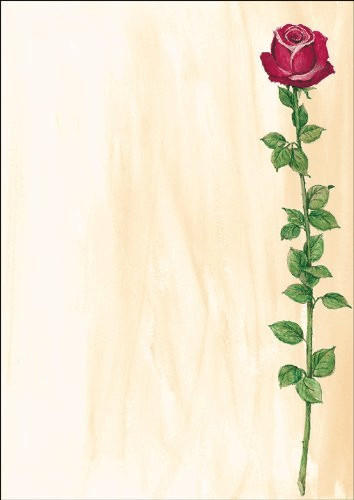 sigel DP695 Motivpapier, A4, 90g/qm, Motiv: Rose Bloom