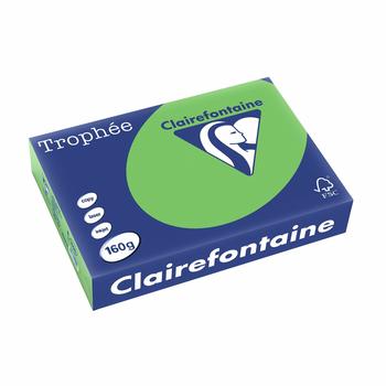 Clairefontaine Trophee Papier, A4, 160g/qm, minze (4165C)