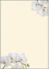 Sigel Briefpapier DP904, White Orchid, A4, 90 g/m², 50 Blatt