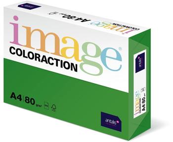 Antalis Coloraction A4 80g/qm Dublin 500 Blatt