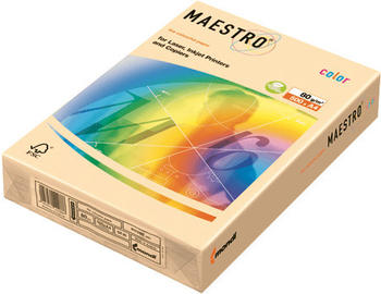 Mondi Maestro (CR20A80)