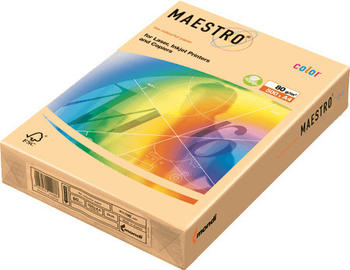 Mondi Maestro color (SA24A80)